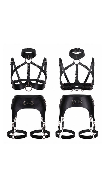 Leonora Collar and Wide-Belt Harness Set — product image 4
